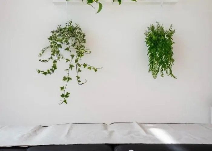 Wellness - Self Check-in & Access * Brunate